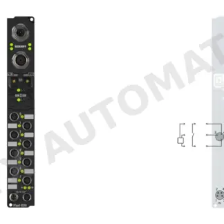 Beckhoff IP1001-B318